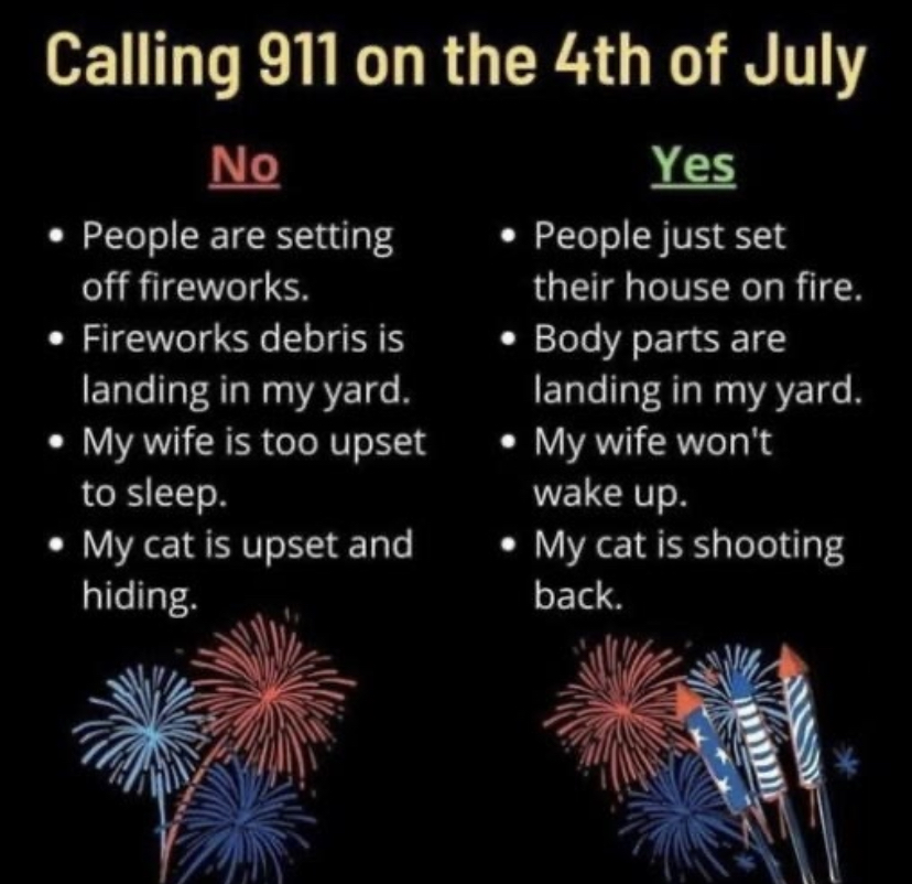 dank memes - flora - Calling 911 on the 4th of July Yes People just set their house on fire. Body parts are landing in my yard. My wife won't No People are setting off fireworks. Fireworks debris is landing in my yard. My wife is too upset to sleep. My ca