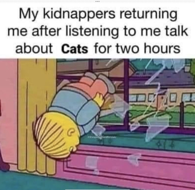 dank memes - my kidnappers returning me after talking about cats - My kidnappers returning me after listening to me talk about Cats for two hours 44