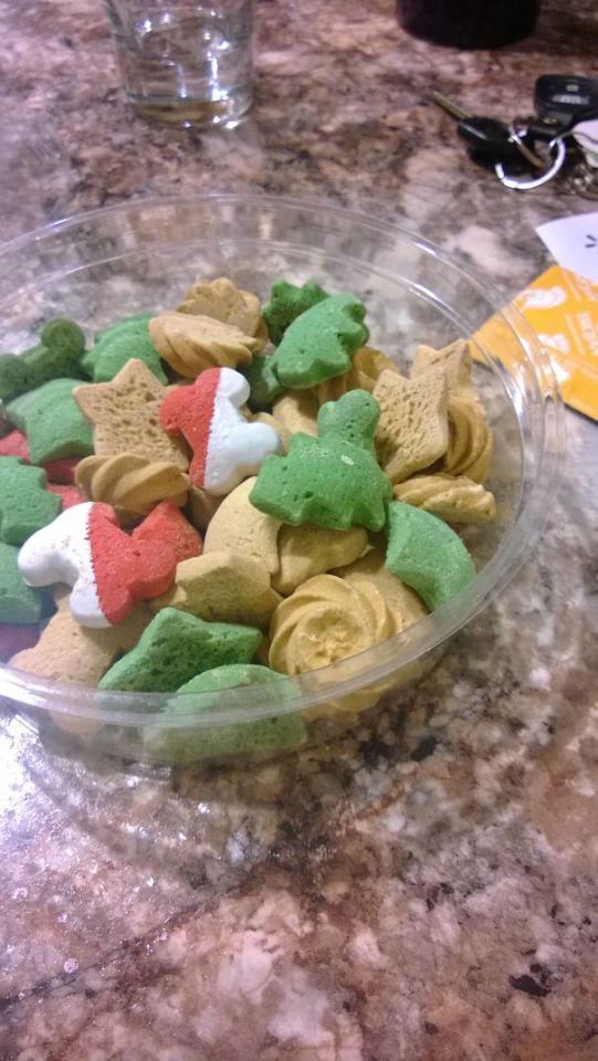 A girl thought these were Christmas treats… they were dog food