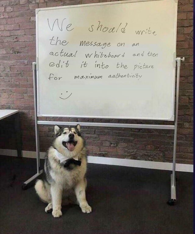 funny meme - not all dogs are good boys - We should write the message on an actual whiteboard and then edit it into the picture for maximum authenticity