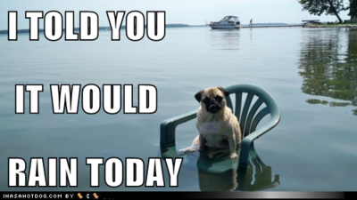 Dog on a plastic chair in what appears to be deep in a lake, with caption joking that he told ya it was going to rain today.