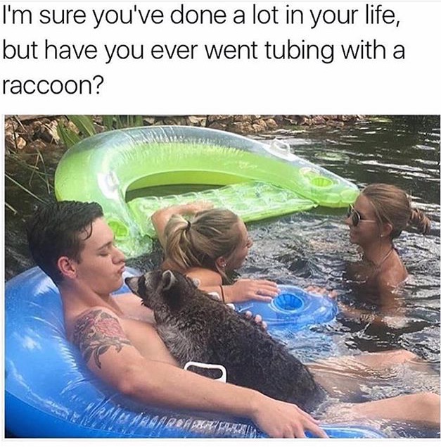 man in the water on a tube with two girls next to him and he is warming up to a raccoon