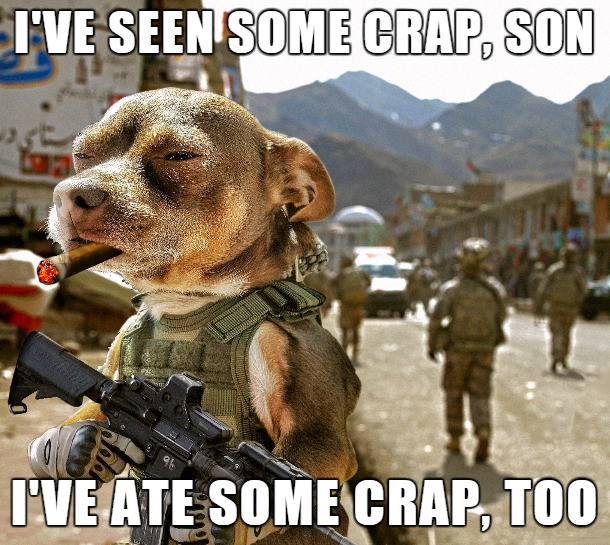 Funny picture of a dog dressed as mercenary with a cigar in his mouth spitting out common movie tropes about soldiers
