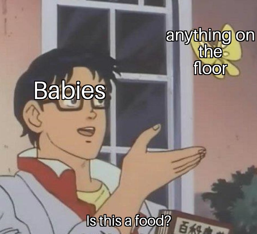 Is this a pigeon meme about how babies will try and eat anything off the floor