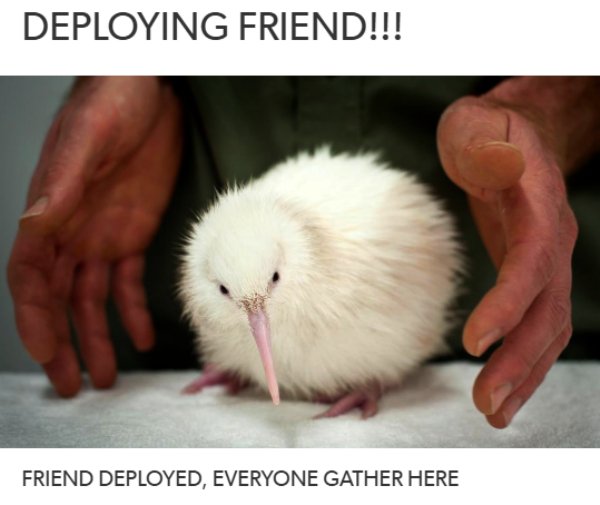 Cute Kiwi wholesome meme about making friends