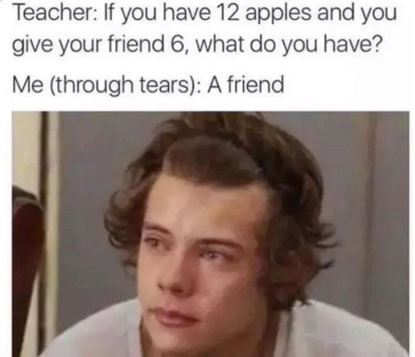 Harry Styles crying because he made a friend in this wholesome artithmatic math meme