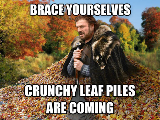 autumn meme of prepare yourselves, the crunchy leaf piles are coming
