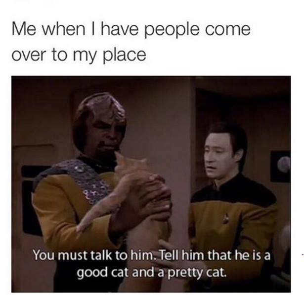 Funny picture of Data and Worf talking about the cat he is holding in a meme of Star Trek cat about having to talk to him and tell him pretty cat as what I have to tell people when they come over to my place.