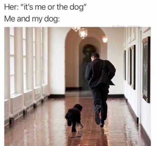 man running with his dog in funny meme about when she says it is me or the dog