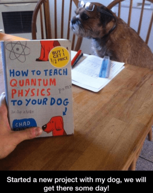 funny meme of math being taught to a pug dog