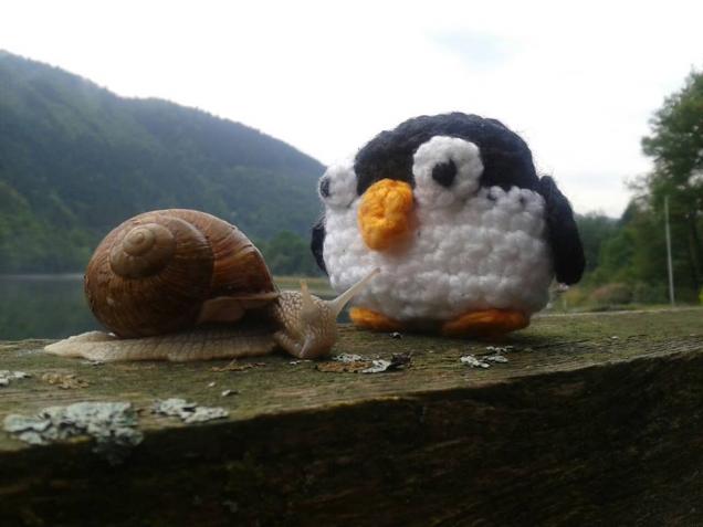 cute snail and stuffed animal of a penguin