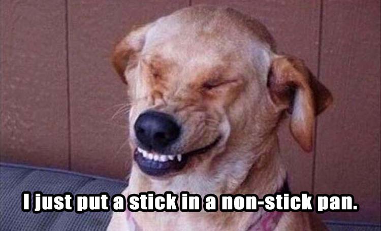 funny picture of dog making over laughing face about putting stick in non-stick pan