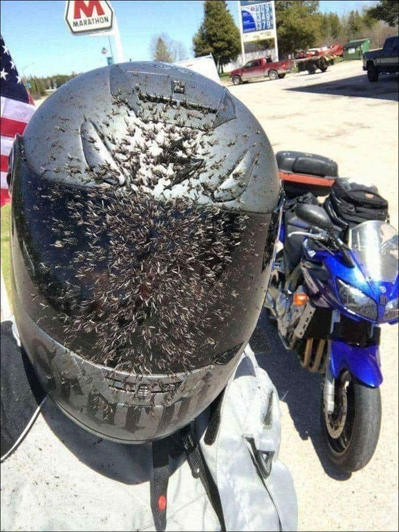 motorcycle helmet that ran into mosquito cloud