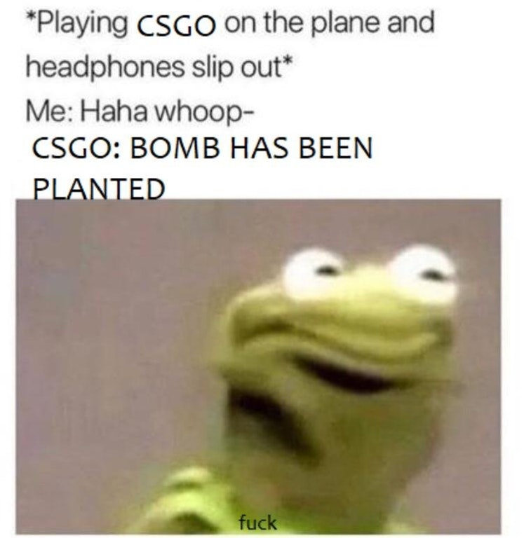 Kermit meme about when the game unplugs on a flight