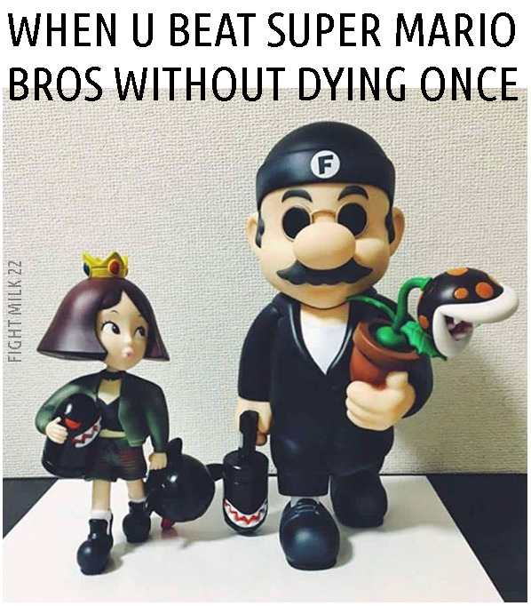 Leon The Professional made into pro looking Mario hitman, with caption as to how it feels when you beat super mario bros without dying