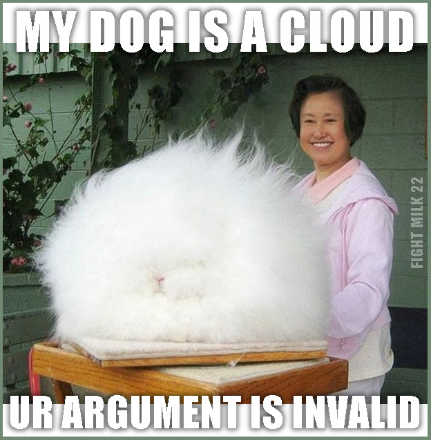 my dog is a fluffy white cloud, your argument is invalid