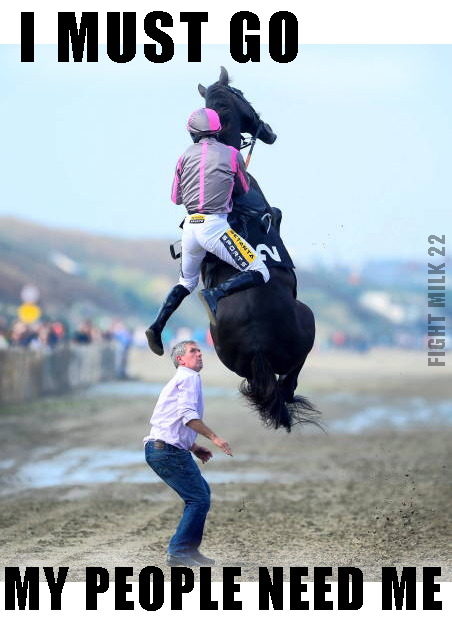 i must go, my horse people need me