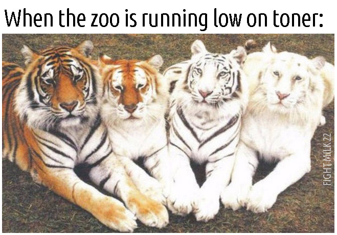 zoo is running low on toner