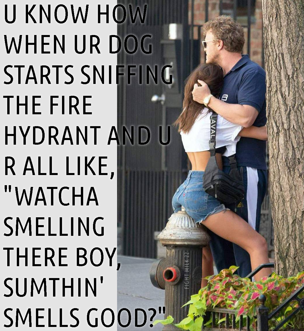 meme about when your dog is sniffing the fire hydrant