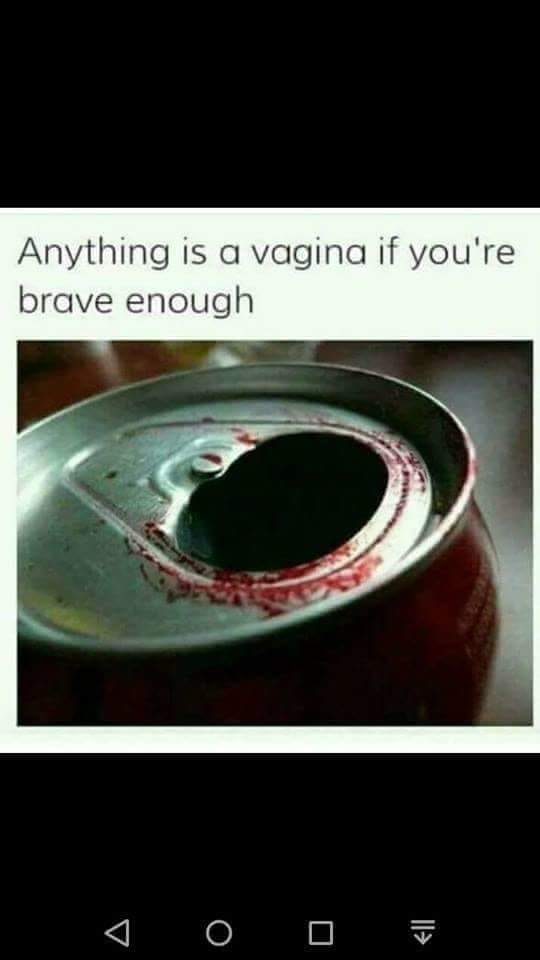 anything is a vagina