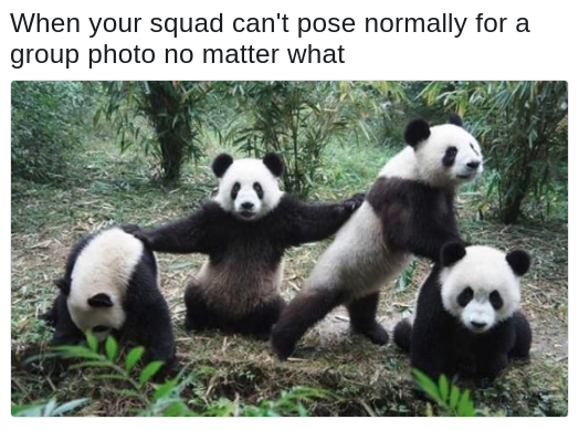 panda photo group