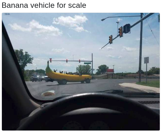 banana car in the wild