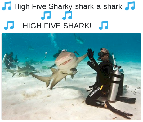 sharky five meme