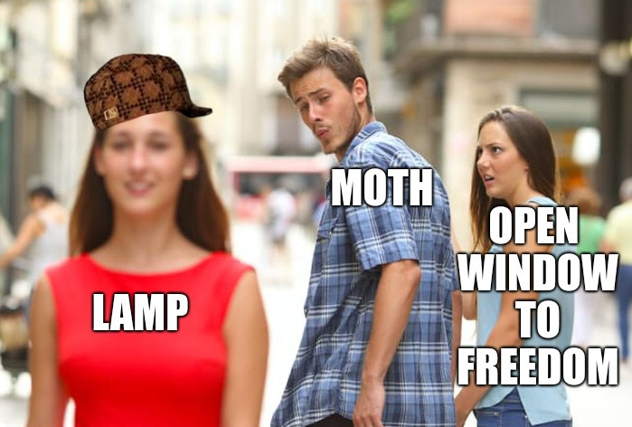moth meme distracted boyfriend scumbag edit