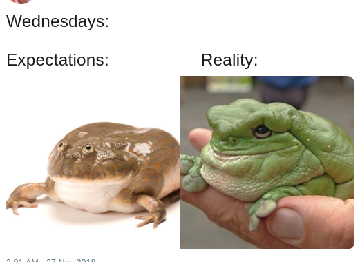 dank meme about wednesday expectations vs reality