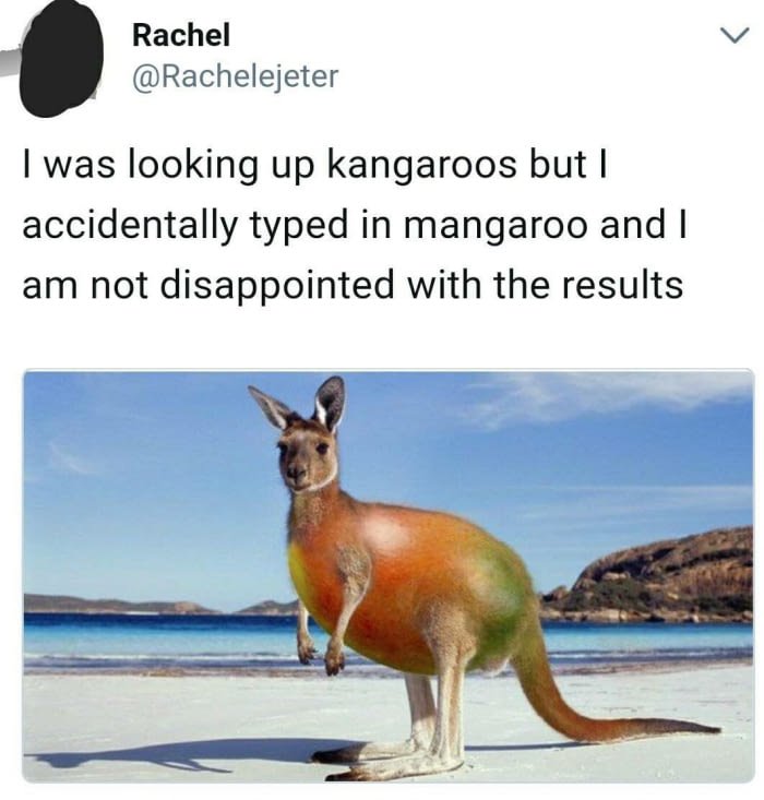 mangaroo meme - woman who searched for mangaroo and was not disappointed