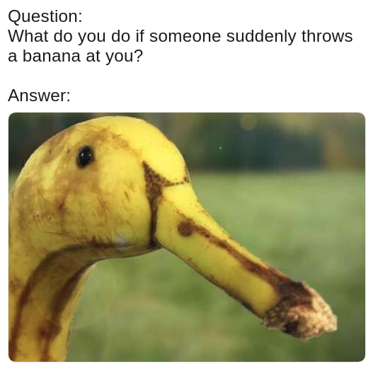 pun meme of a banana that looks like a duck