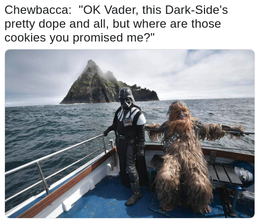 lonely memes - Chewbacca "Ok Vader, this DarkSide's pretty dope and all, but where are those cookies you promised me?"