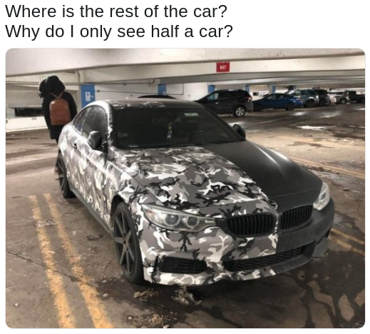 meme about painting half a car in camouflage so it becomes half invisible