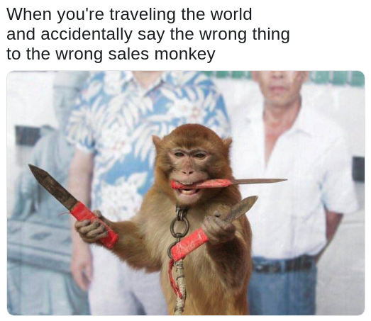 pic of a monkey holding 3 knives threateningly after you accidentally insulted it