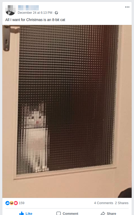 pic of a cat looking through an etched glass door that gives the effect of 8 bit graphics