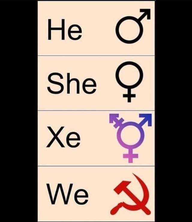 table of pronouns with 'we' being used for communism