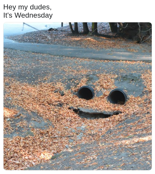 pic of draining pipes and a canal that form a face that looks like the 'it's Wednesday my dudes' frog