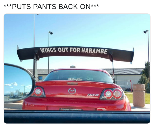 meme about putting your car wings out for Harambe