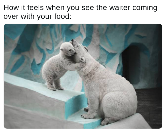 meme about the waiter bringing you your food with pic of baby polar bear hugging its mama