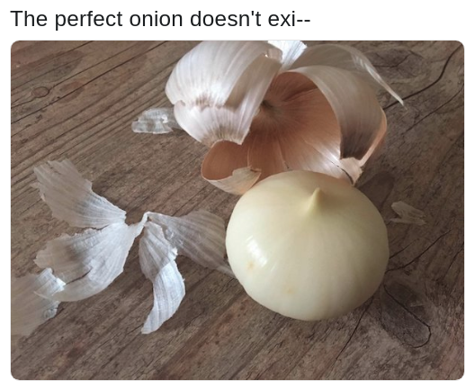 meme about the perfect onion
