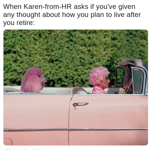 retirement goals with pic of old woman in pink wig driving her pink poodle in a pink convertible