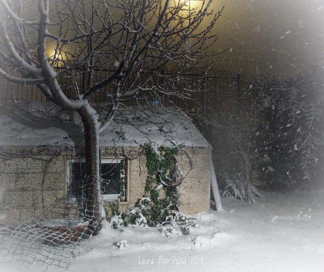 photo of a snowy yard at night
