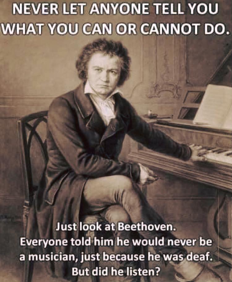 meme about Beethoven not listening to his detractors because he was deaf