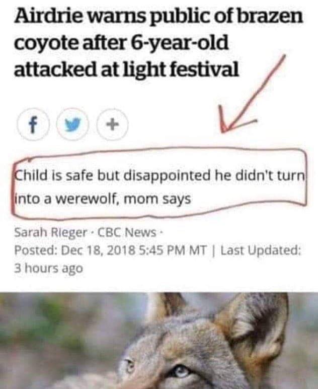 news story about child who was attacked by coyotes being disappointed they didn't turn into a werewolf