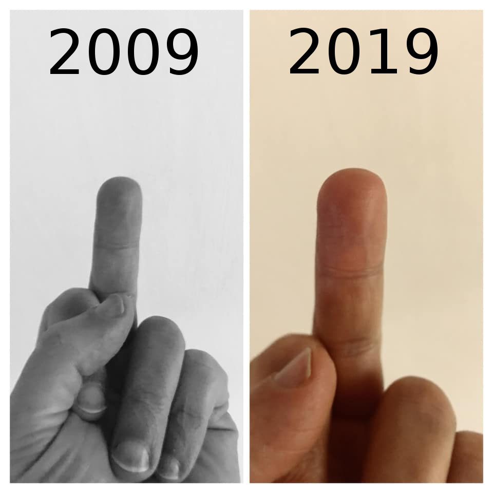 10 year challenge meme with both years showing a hand flipping the bird