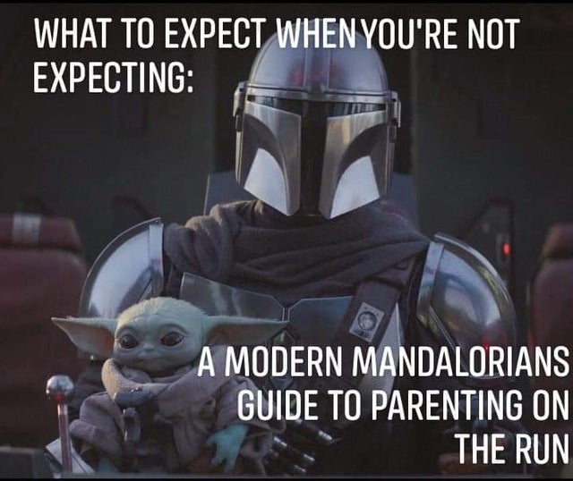 The Mandalorian - What To Expect When You'Re Not Expecting A Modern Mandalorians Guide To Parenting On The Run
