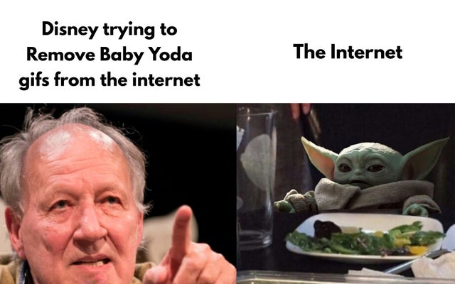 confused cat at dinner meme - Disney trying to Remove Baby Yoda gifs from the internet The Internet