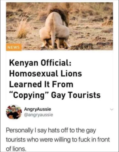 funny twitter - News Kenyan Official Homosexual Lions Learned It From "Copying" Gay Tourists AngryAussie Personally I say hats off to the gay tourists who were willing to fuck in front of lions.