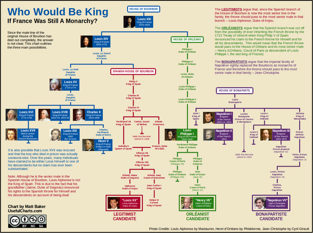 would be king of france today - House Of Bourdon Who Would Be King If France Was Still A Monarchy? The Legitimsts age that since the Spanish branch of the House of Bourbon is now the more Senior line in the family, the throne should pass to the most senio