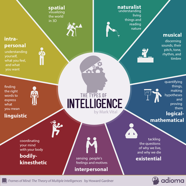 types of intelligence - spatial visualizing the world in 3D naturalist understanding living things and reading nature intra personal understanding yourself, what you feel, and what you want musical discerning sounds, their pitch, tone, rhythm, and timbre 